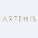 Artemis Medicare Services Ltd