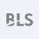 BLS E-Services Ltd