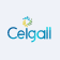 Ceigall India Ltd